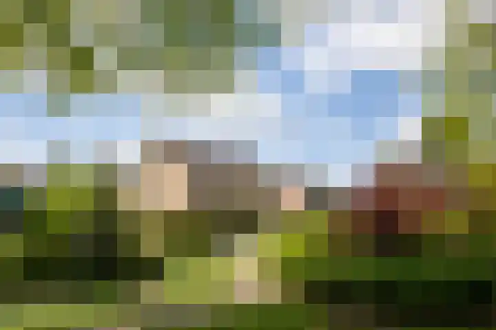 Koterhoek 23 Steenwijk thumbnail 7