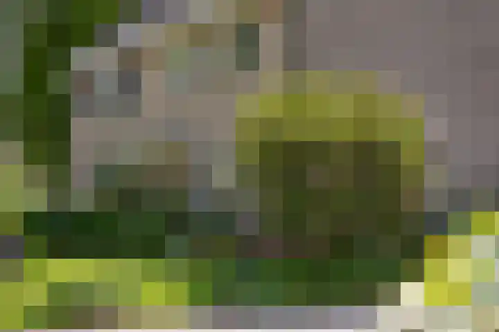 Koterhoek 23 Steenwijk thumbnail 8