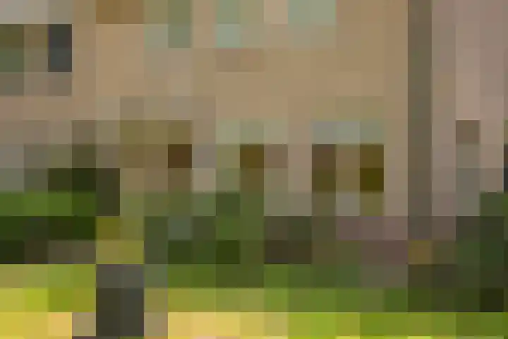Koterhoek 23 Steenwijk thumbnail 9