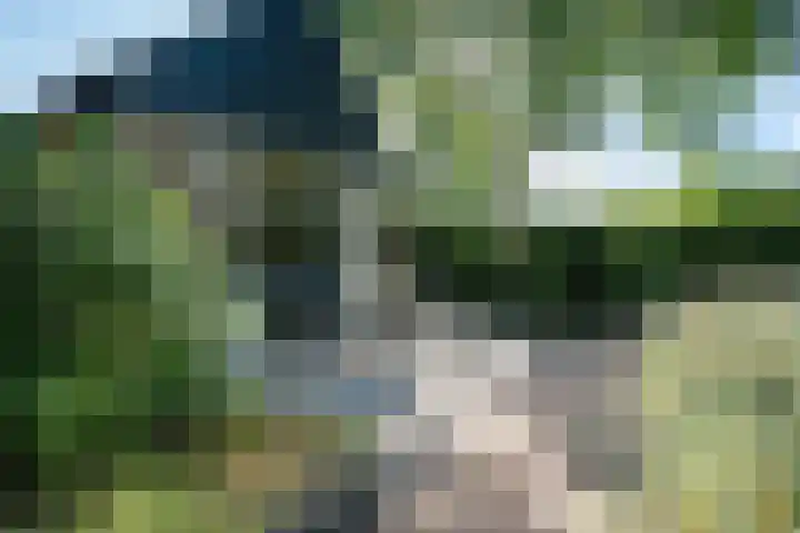 Koterhoek 37 Steenwijk thumbnail 43
