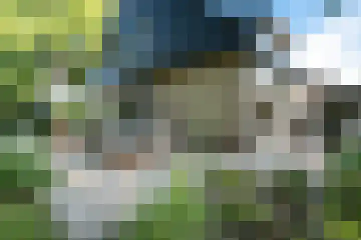 Koterhoek 37 Steenwijk thumbnail 45