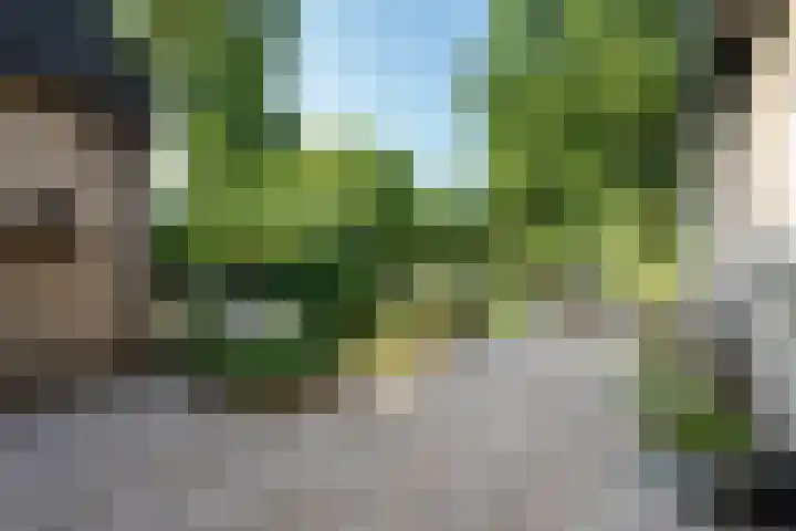 Koterhoek 37 Steenwijk thumbnail 46