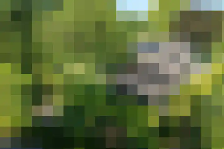 Koterhoek 37 Steenwijk thumbnail 48