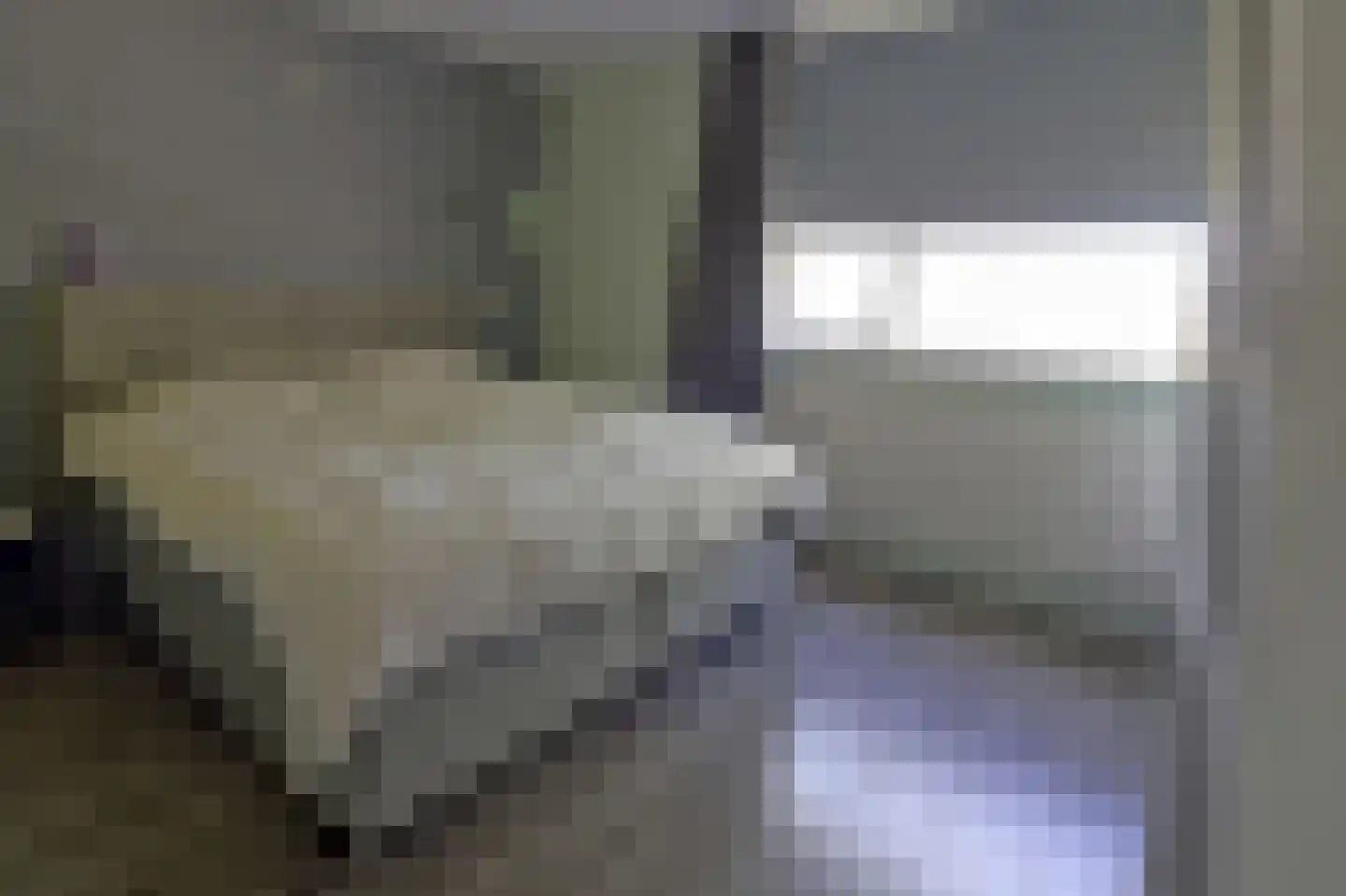 Koterhoek 5 Steenwijk thumbnail 15