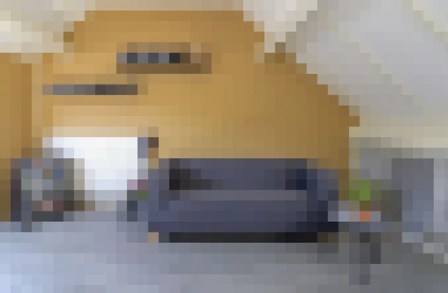 Koterhoek 5 Steenwijk thumbnail 20