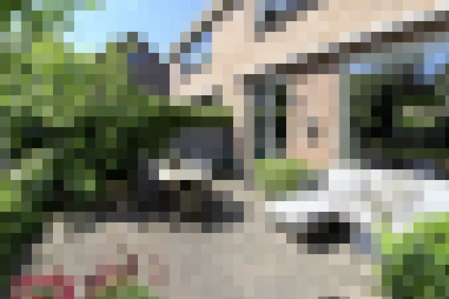 Koterhoek 5 Steenwijk thumbnail 23