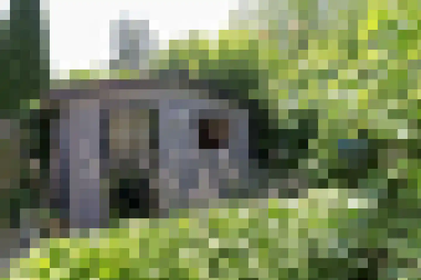 Koterhoek 5 Steenwijk thumbnail 27