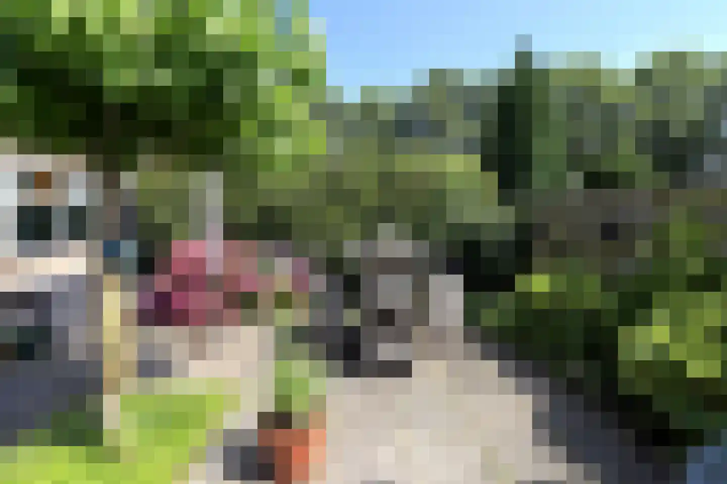 Koterhoek 5 Steenwijk thumbnail 5