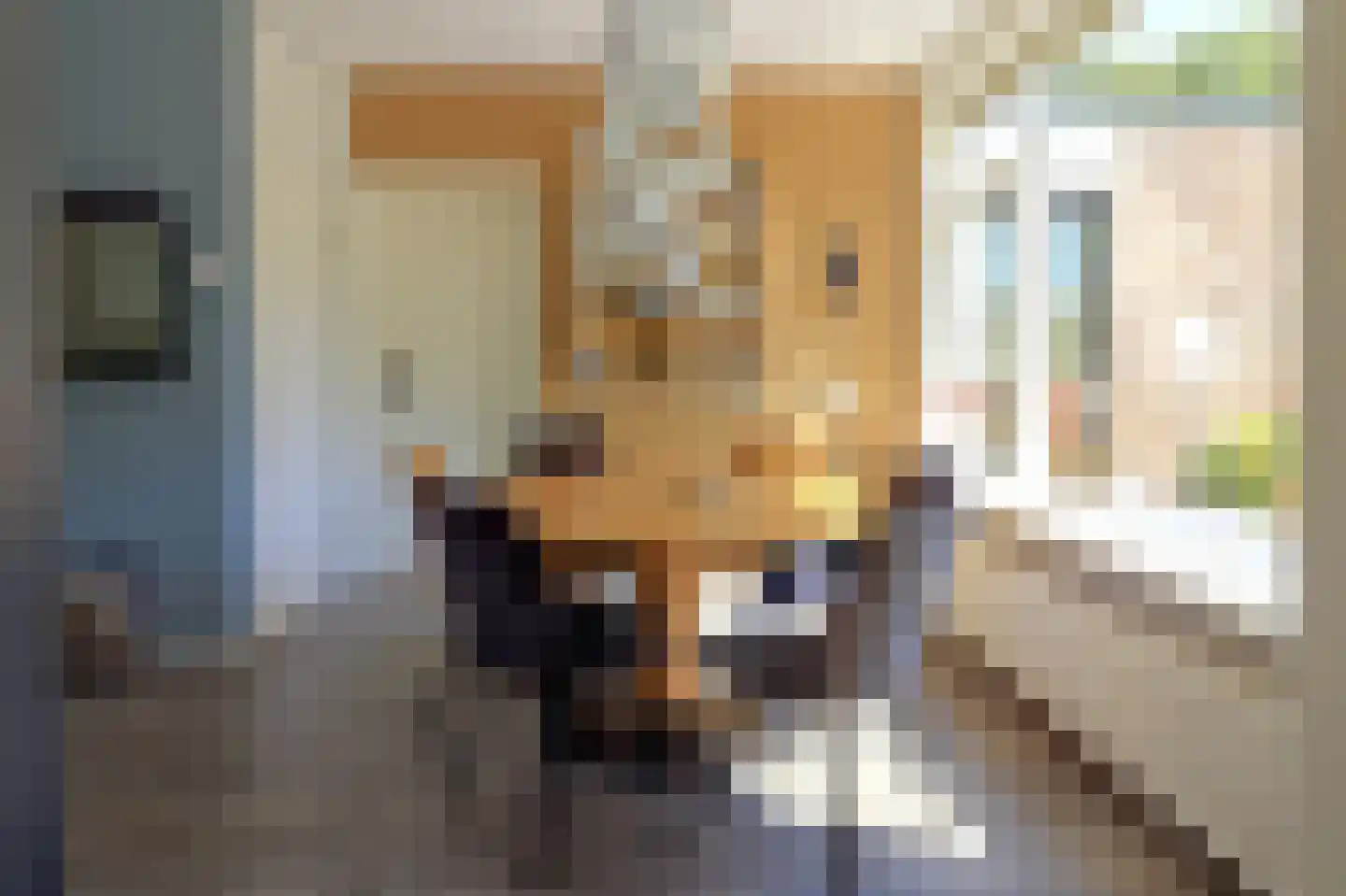 Koterhoek 5 Steenwijk thumbnail 9