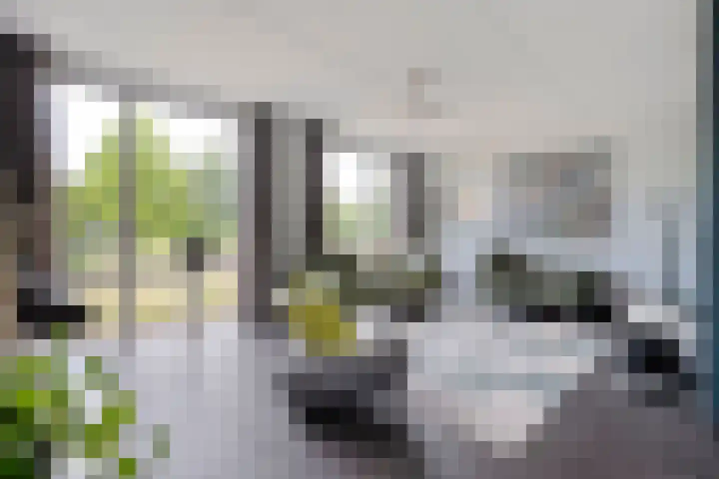 Kotermeerstal 30 Dedemsvaart thumbnail 15