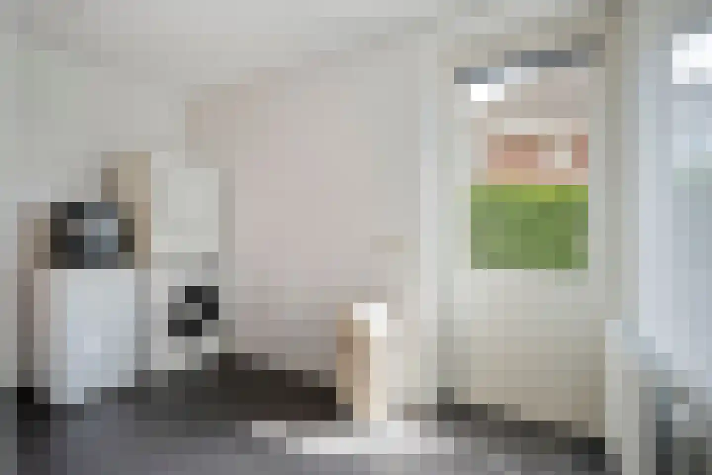 Kotermeerstal 30 Dedemsvaart thumbnail 23