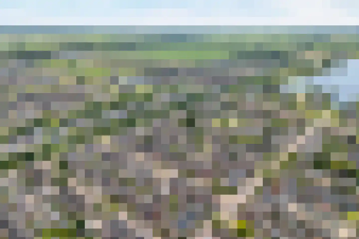 Kotermeerstal 30 Dedemsvaart thumbnail 5
