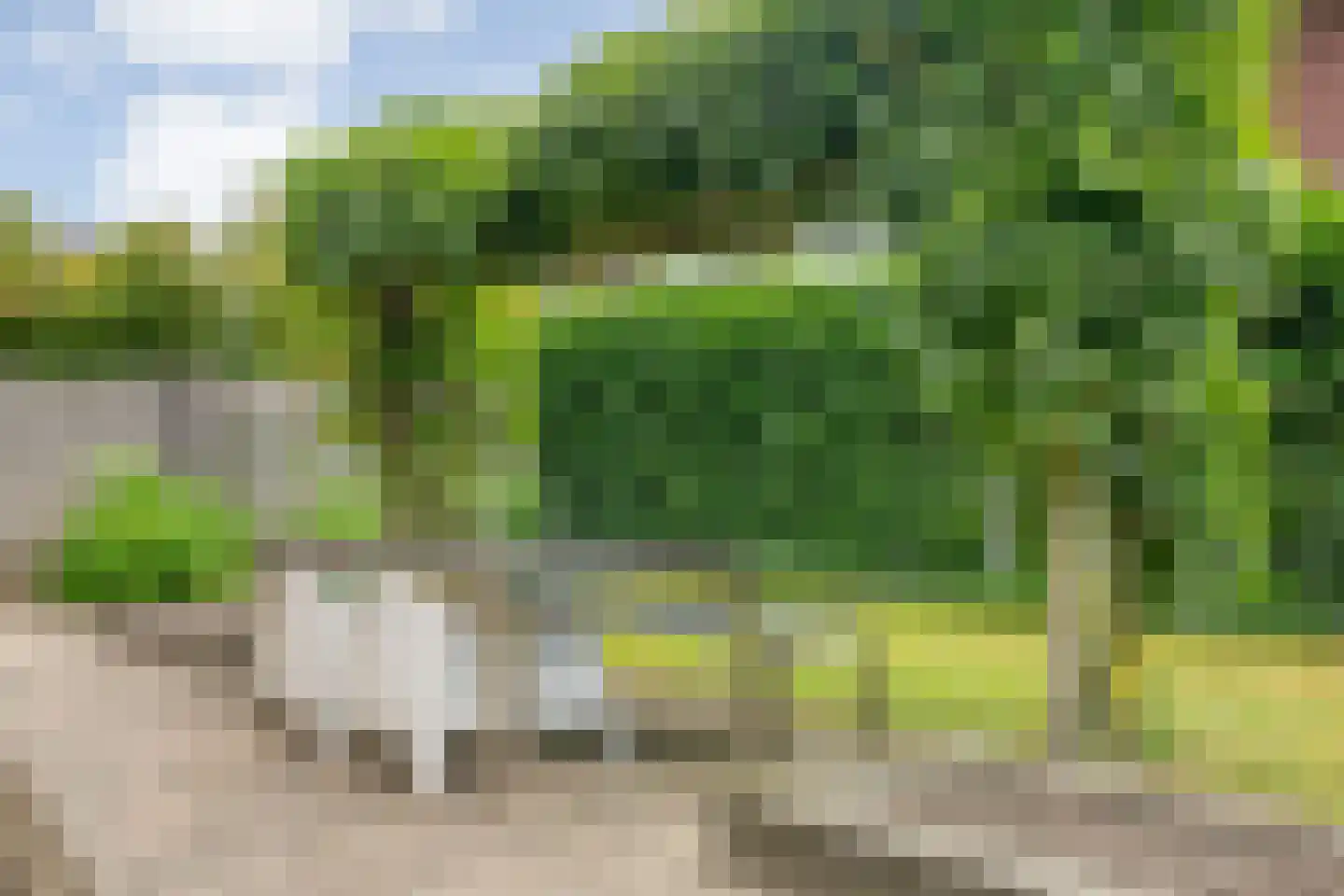 Kotermeerstal 30 Dedemsvaart thumbnail 42