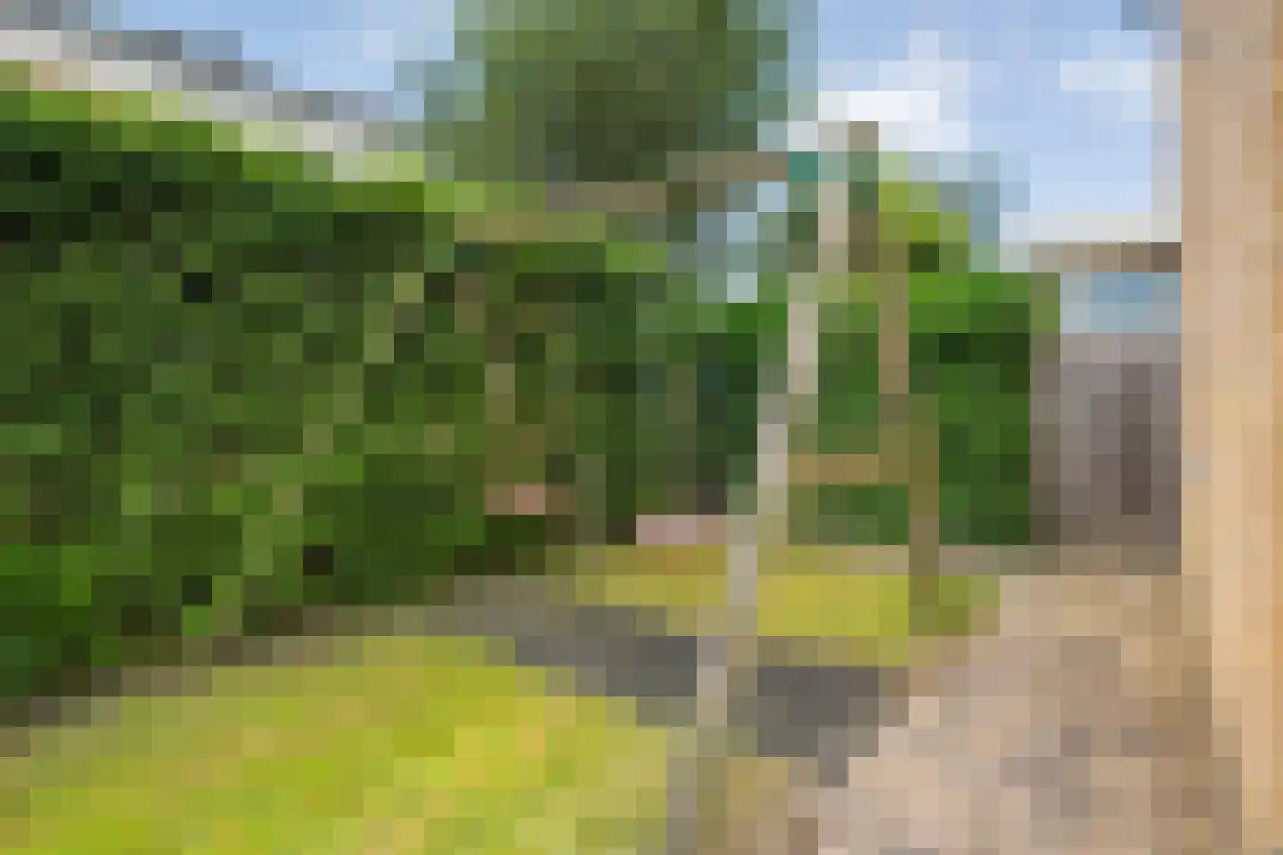 Kotermeerstal 30 Dedemsvaart thumbnail 43