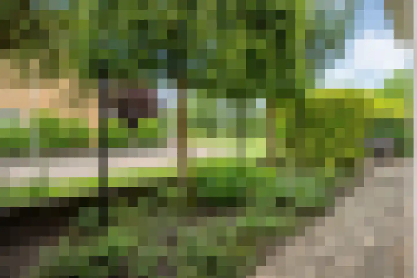 Kotermeerstal 30 Dedemsvaart thumbnail 44