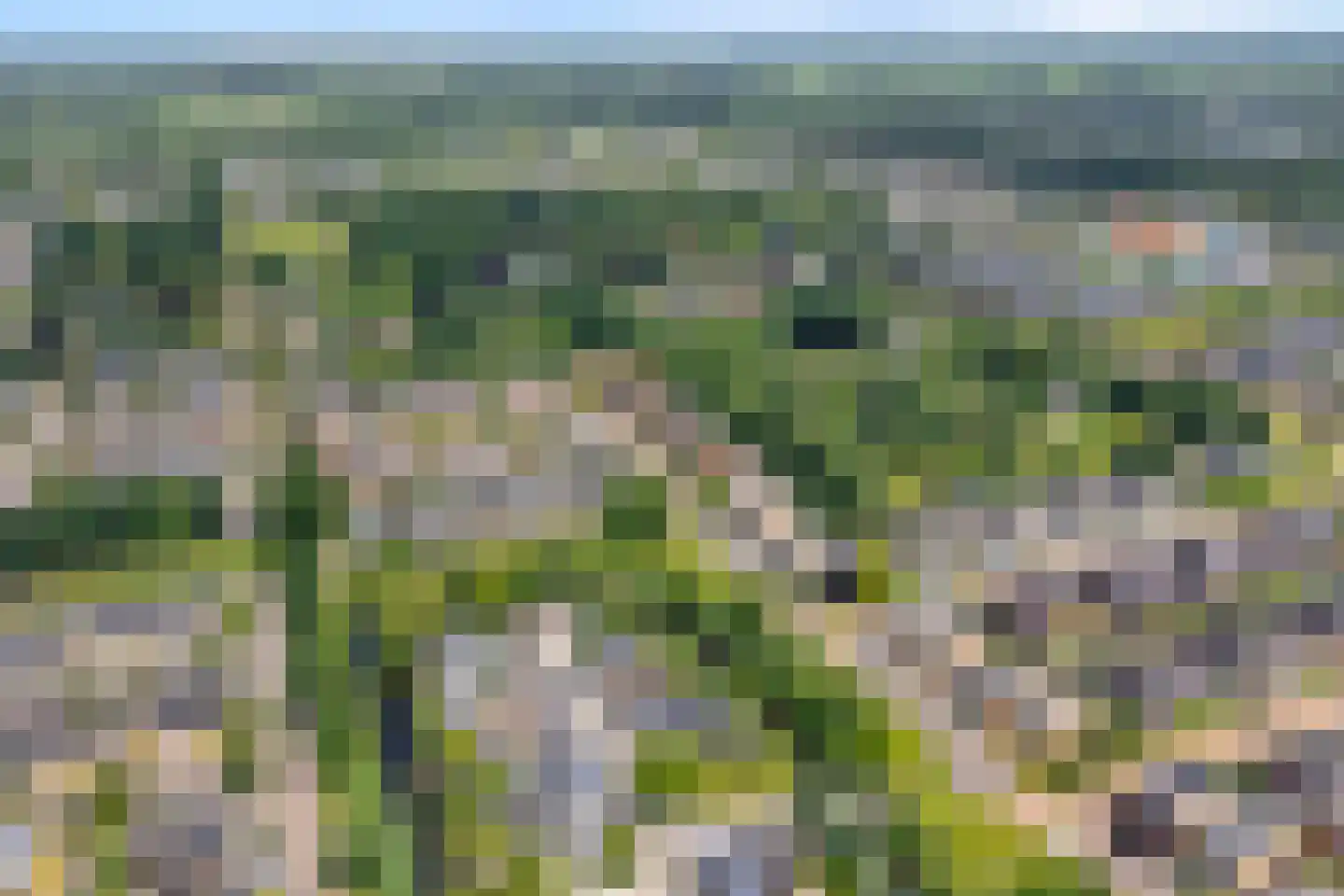 Kotermeerstal 30 Dedemsvaart thumbnail 7