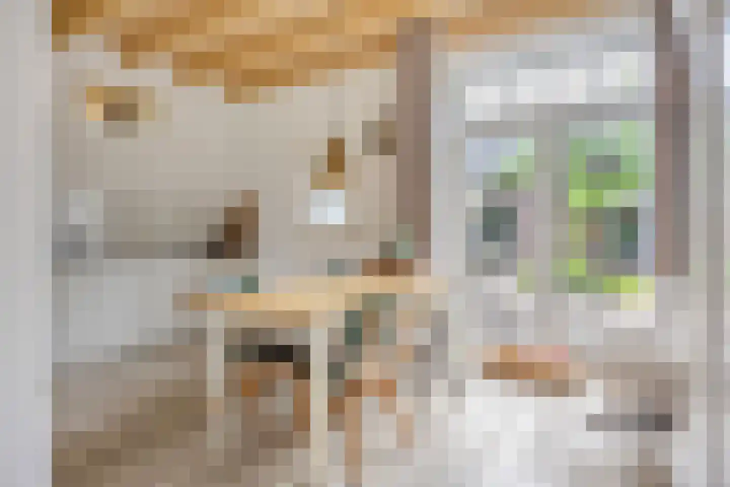 Koterweg 12 Barneveld thumbnail 10
