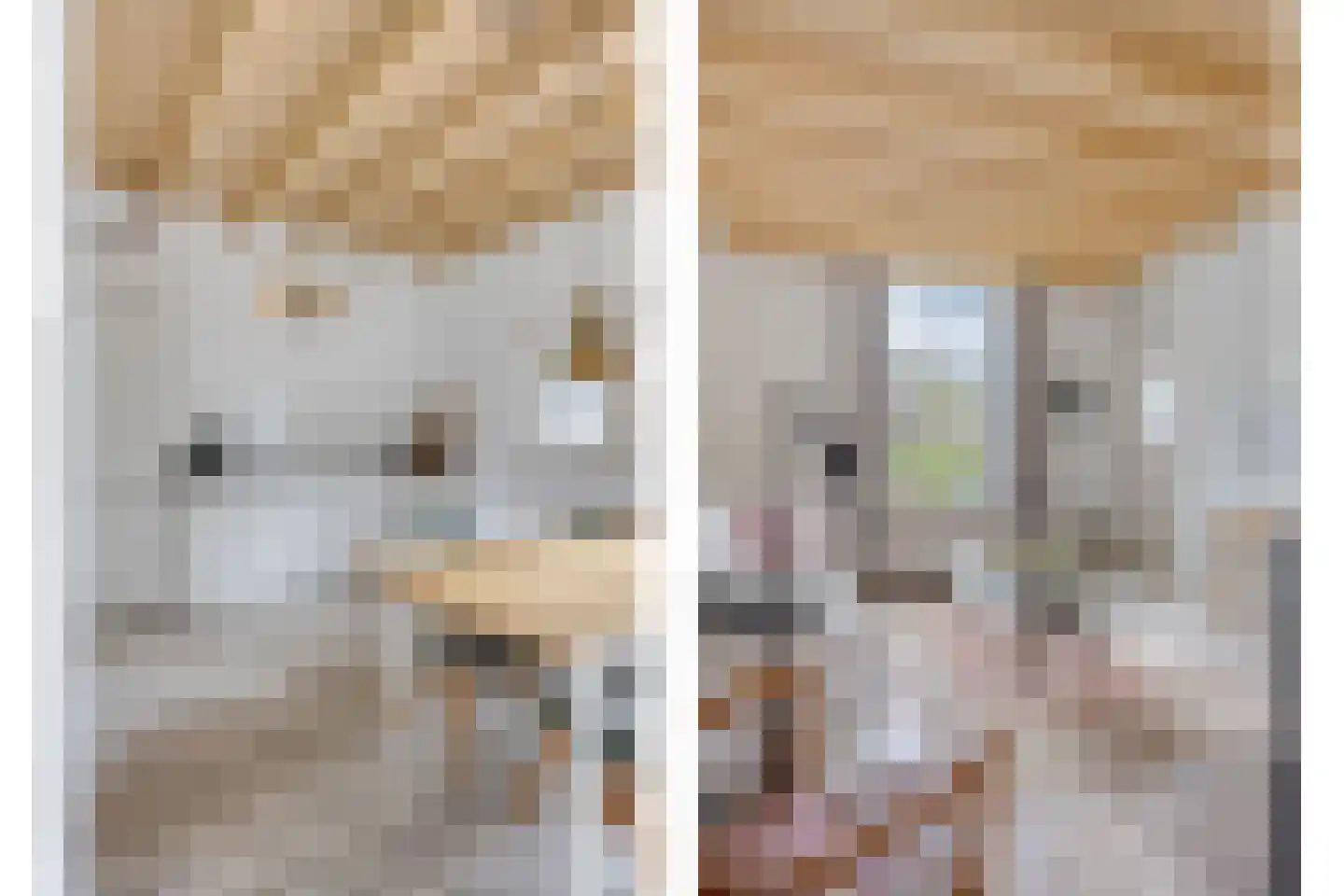 Koterweg 12 Barneveld thumbnail 12