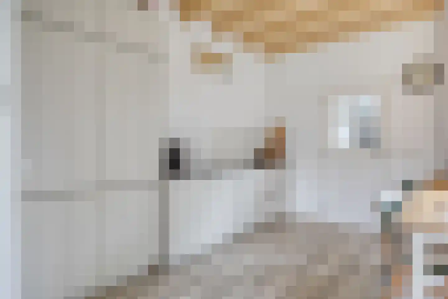 Koterweg 12 Barneveld thumbnail 14