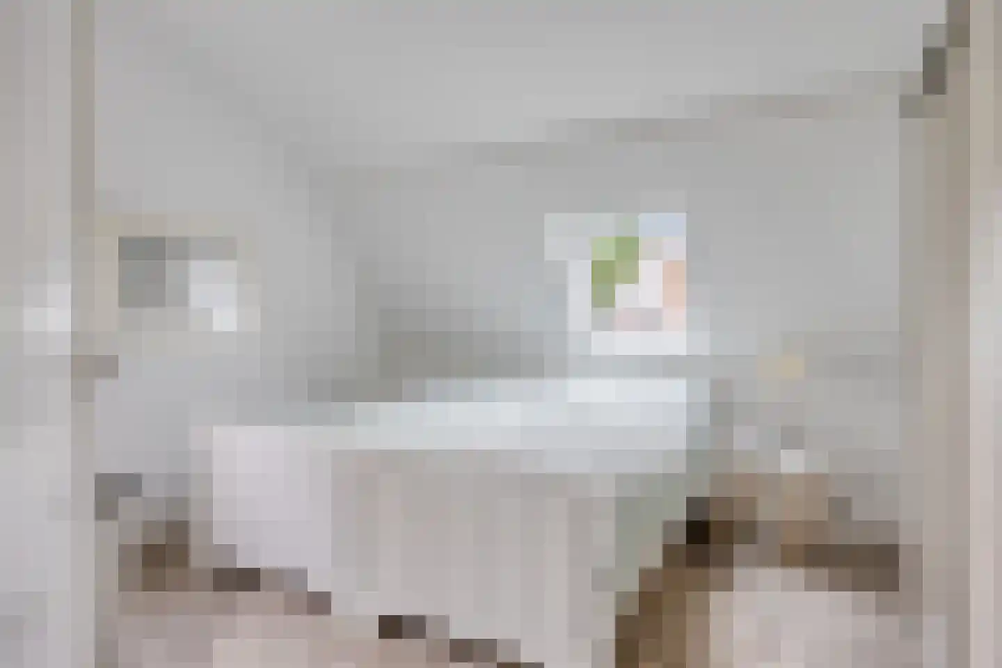 Koterweg 12 Barneveld thumbnail 18
