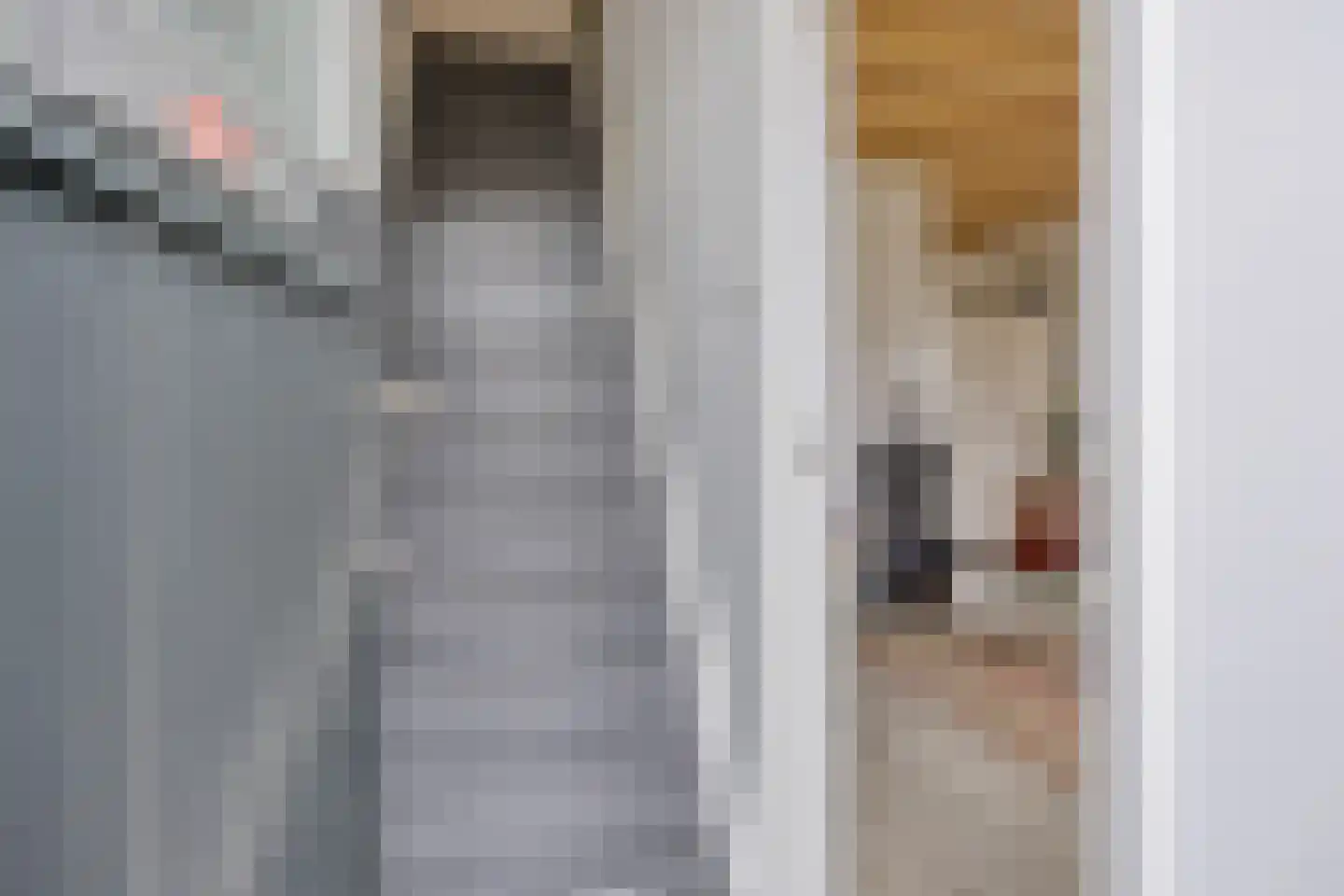 Koterweg 12 Barneveld thumbnail 4