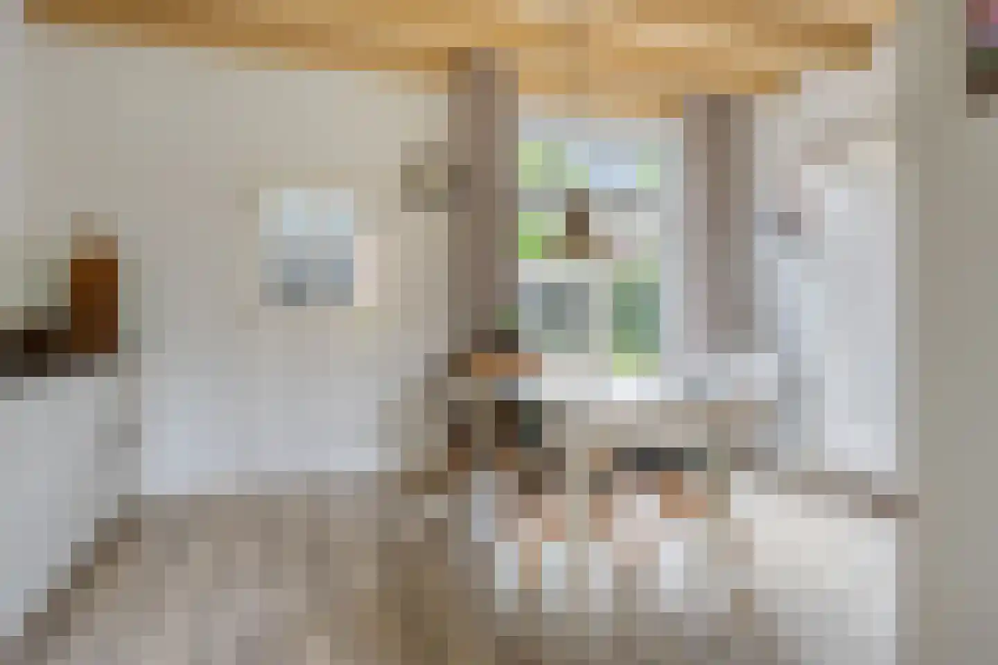 Koterweg 12 Barneveld thumbnail 9