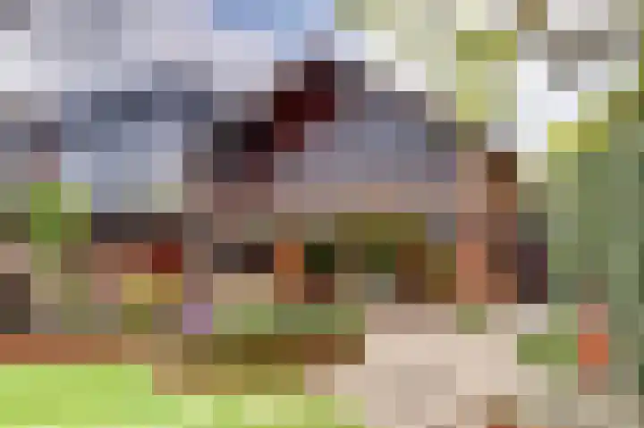 Kotkampweg 148 Enschede