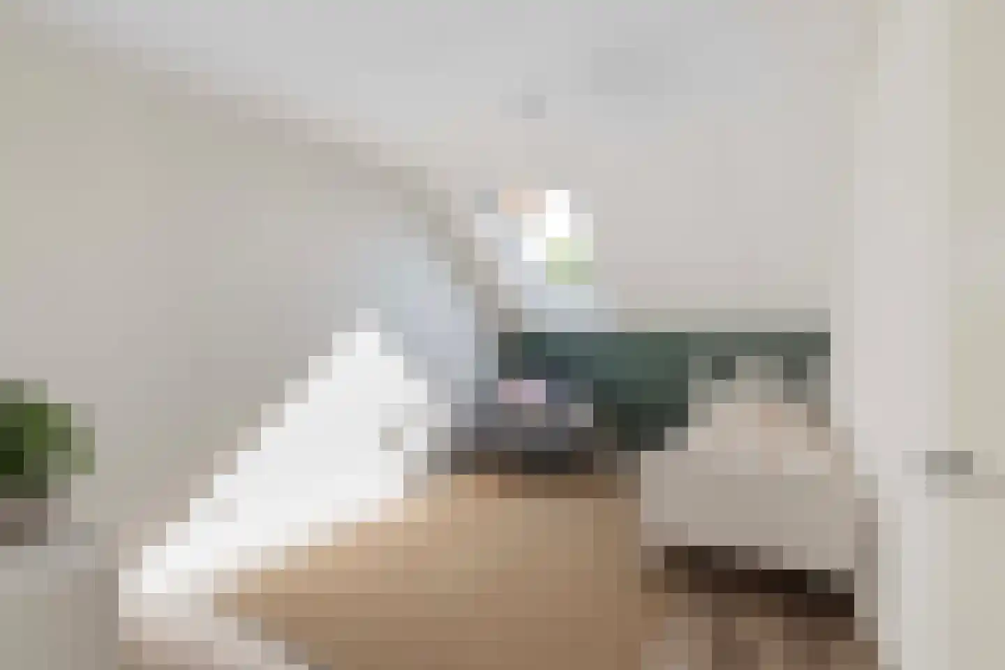 Kotmanlaan 77 Enschede thumbnail 19