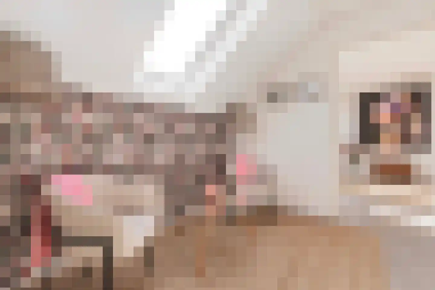 Kotmanlaan 77 Enschede thumbnail 24