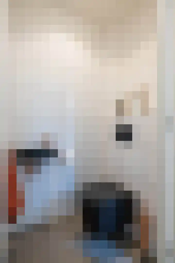 Kotmansweg 11 Hengelo thumbnail 17