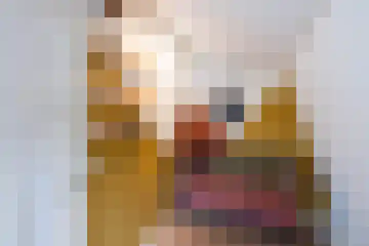 Kotmansweg 11 Hengelo thumbnail 29
