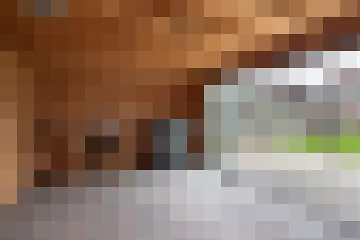 Kotmansweg 11 Hengelo thumbnail 36