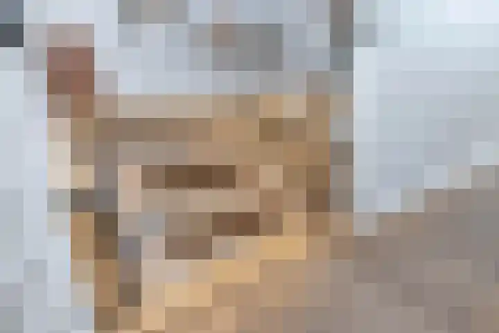 Kotmansweg 11 Hengelo thumbnail 8