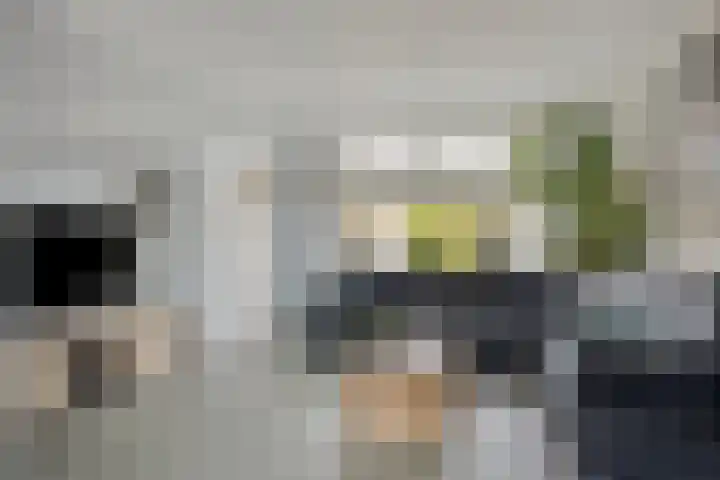 Kotmansweg 2 B Hengelo thumbnail 11