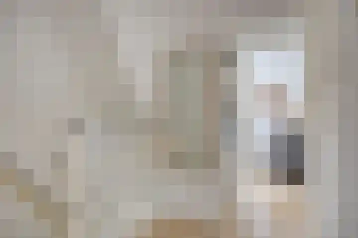 Kotmansweg 2 B Hengelo thumbnail 23