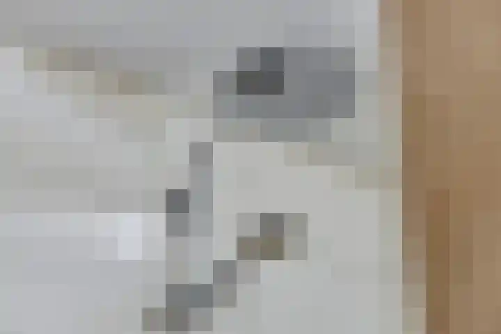 Kotmansweg 2 B Hengelo thumbnail 27