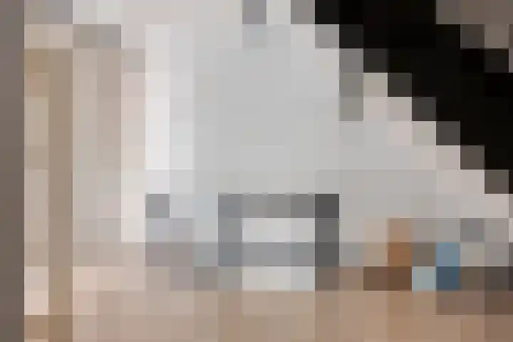Kotmansweg 2 B Hengelo thumbnail 32
