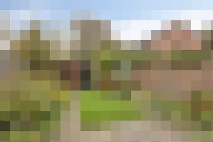 Kotmansweg 2 B Hengelo thumbnail 35