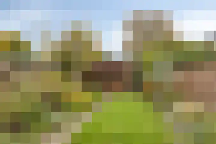 Kotmansweg 2 B Hengelo thumbnail 36