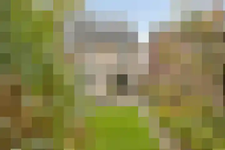 Kotmansweg 2 B Hengelo thumbnail 37