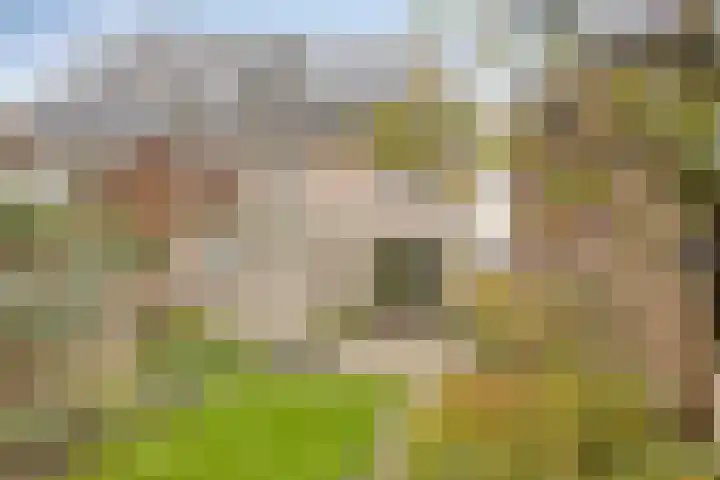 Kotmansweg 2 B Hengelo thumbnail 38