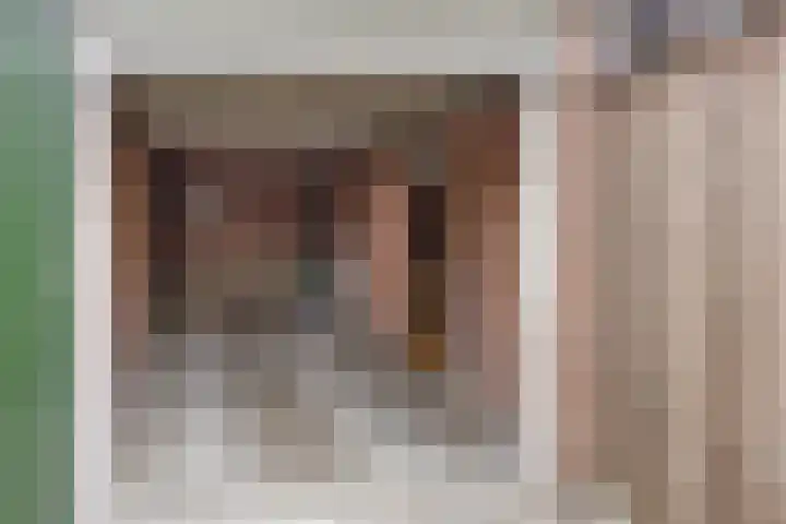 Kotmansweg 2 B Hengelo thumbnail 40