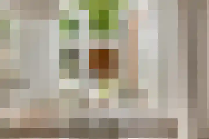 Kotmansweg 26 Hengelo thumbnail 12