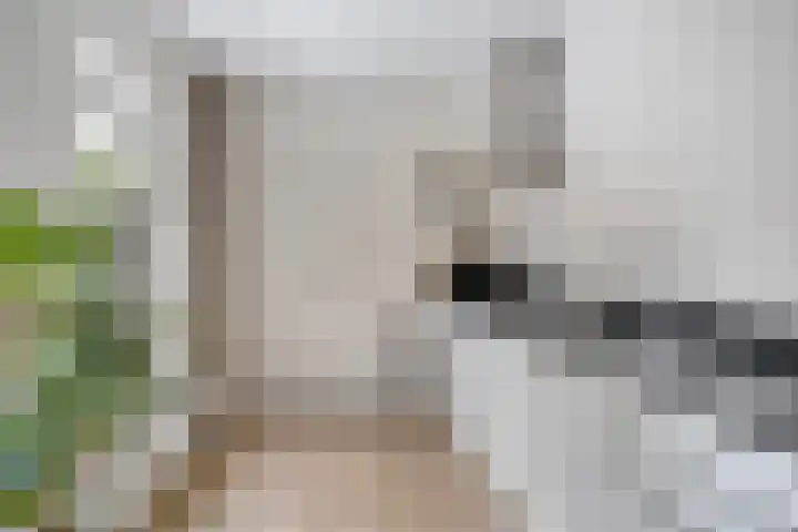 Kotmansweg 26 Hengelo thumbnail 14