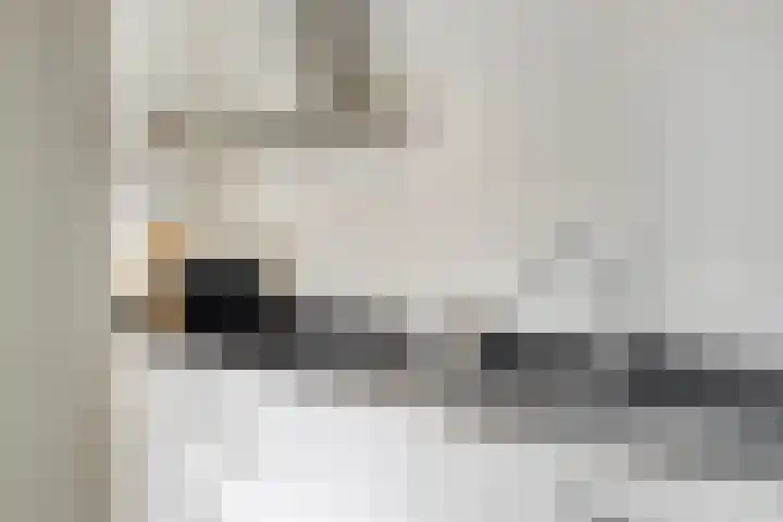 Kotmansweg 26 Hengelo thumbnail 16