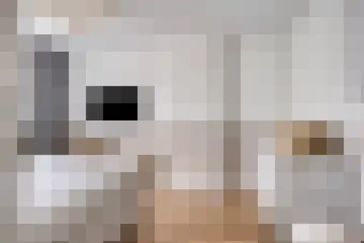 Kotmansweg 26 Hengelo thumbnail 19