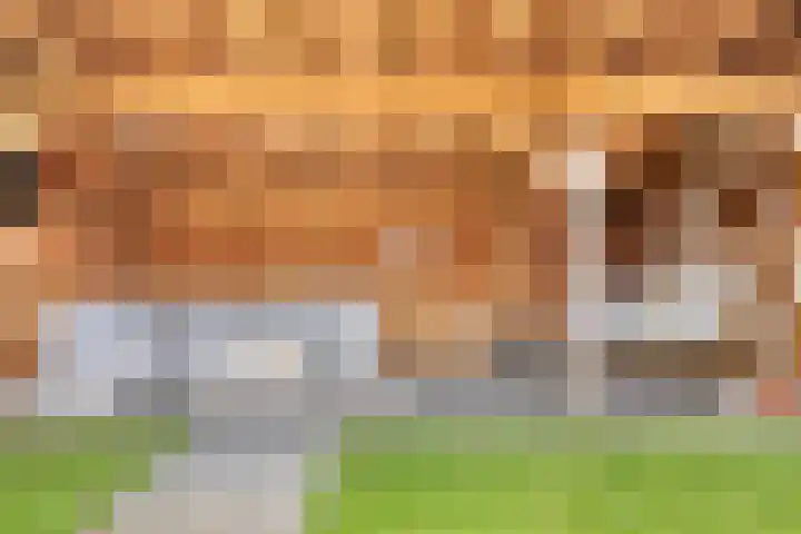 Kotmansweg 26 Hengelo thumbnail 30