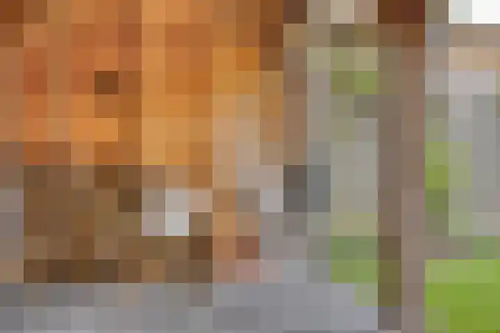 Kotmansweg 26 Hengelo thumbnail 31