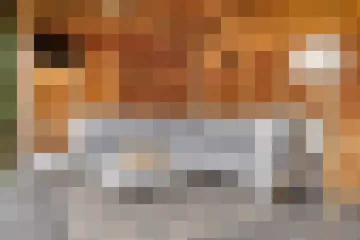 Kotmansweg 26 Hengelo thumbnail 32