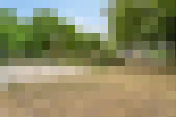 Kotmansweg 26 Hengelo thumbnail 36